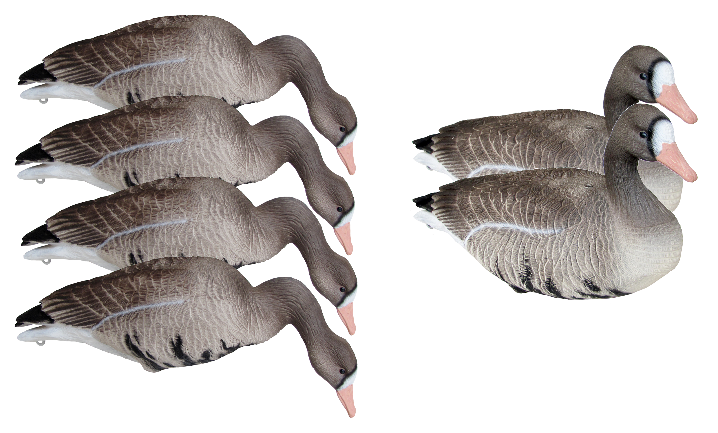 Mayhem Decoys Full-Body Specklebelly Goose Decoys 6-Pack | Mack's ...